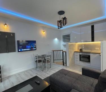 Bor Apartamento | Stan na dan Bor