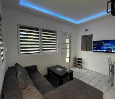 Bor Apartamento | Stan na dan Bor