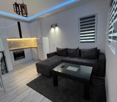 Bor Apartamento | Stan na dan Bor