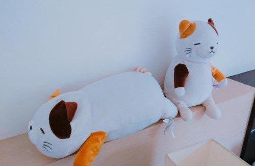 Nanzhuang Cama Y Desayuno | Star Coffee & Homestay