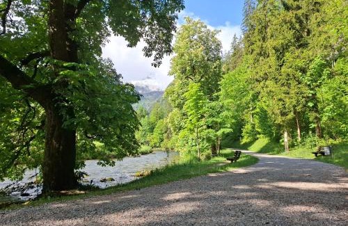 Lofer Apartamento | Steinhäusl