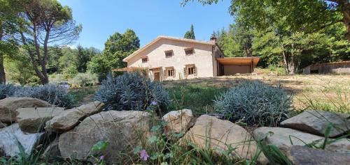 Serravalle Pistoiese Apartamento | Stirpe nel Bosco - Fiocco