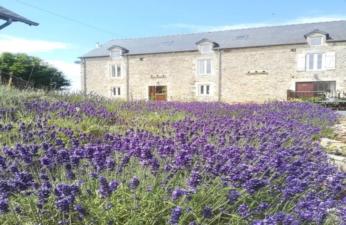 Sainte-Marguerite-d'Elle Casa | Stone cottage with garden