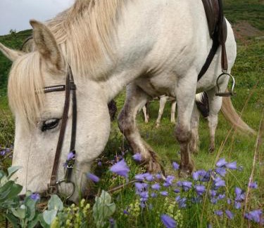 Vallanes Complejo | Stora Sandfell Rooms and Cottages