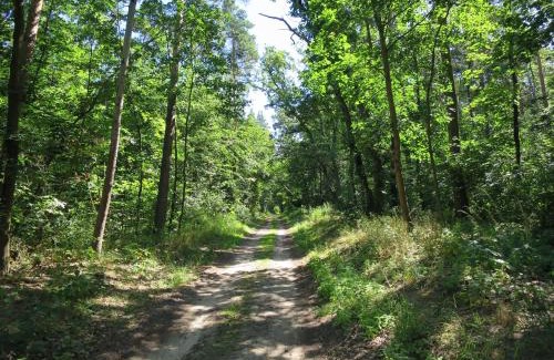 Oberuckersee Casa | Strandhaus am Oberuckersee