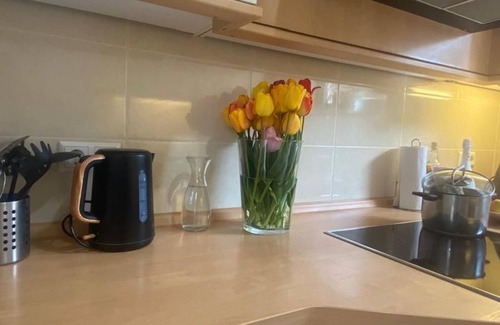 Munzingen Apartamento | Studio Apartment in Souterrain in Freiburg - Gasthaus Privatzimmer in Freiburg im Breisgau