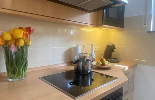 Munzingen Apartamento | Studio Apartment in Souterrain in Freiburg - Gasthaus Privatzimmer in Freiburg im Breisgau