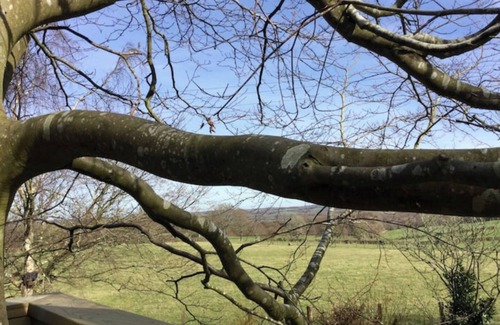 Cowbeech Apartamento | Estudio y balcón con árboles que crecen a través de él, escalera de caracol, impresionantes vistas.