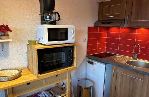 Auris Apartamento | Studio cabine au pied des pistes, 3 couchages, parking - FR-1-297-326
