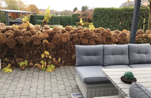 Geel Apartamento | Guesthouse De Steenberg