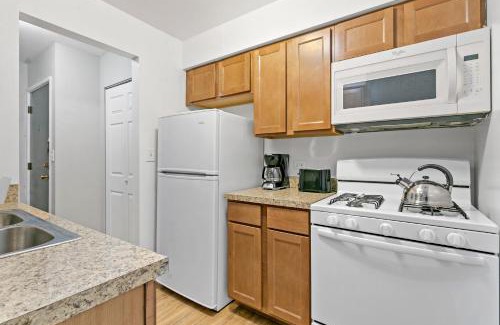 Lake View East Apartamento | Stunning 1BR Apartment at Center of Lakeview - Oakdale 211