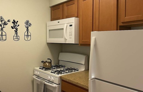 Lake View East Apartamento | Stylish 1BR Apt in Lakeview