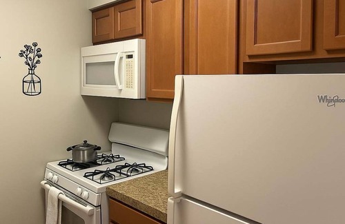 Lake View East Apartamento | Stylish 1BR Apt in Lakeview