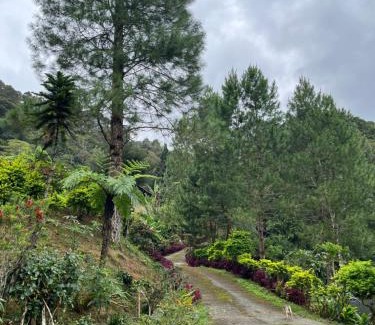 Bundu Tuhan Apartamento | SU Valley Lodge