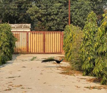 Varanasi Casa | Sukoon Bagh Stays