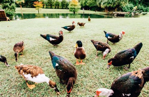 Ji'an Complejo | Summer Rocker Villa