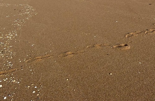 Golden Beach Casa | Sunburst Getaway - Sleeps 9