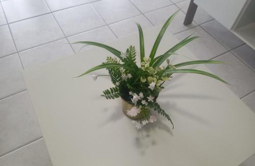 Rodney Bay Apartamento | Sunny Luxuries - Rodney Bay