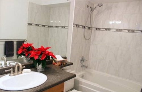 Grandview-Woodland Apartamento | Suite soleada y espaciosa de un dormitorio con jardín