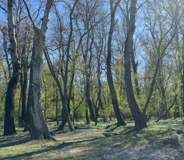 Rusovce Alquiler De Eote | Sunset hausbot