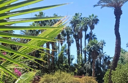 Majorelle Apartamento | Superbe Apt Vue Exceptionnelle sur les Jardins Majorelle, Rue Yves Saint Laurent