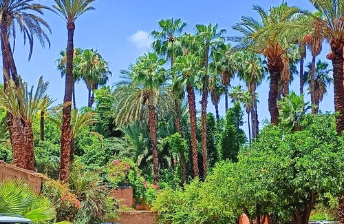 Majorelle Apartamento | Superbe Apt Vue Exceptionnelle sur les Jardins Majorelle, Rue Yves Saint Laurent