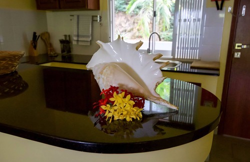 Anse Royale Cabaña | Surfers Self-Catering Chalets