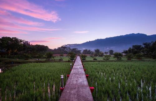 Pong Yaeng Complejo | Swankiri Resort สวอนคีรี รีสอร์ท