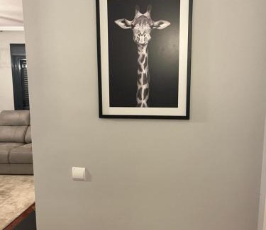 Talavera de la Reina Apartamento | Sweet Dreams Ebora