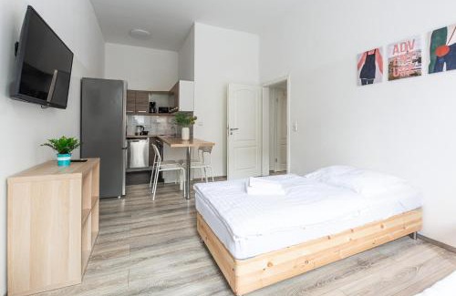 Duesseltal Apartamento | T&K Apartments - 2 Room Apartment - Ground Floor