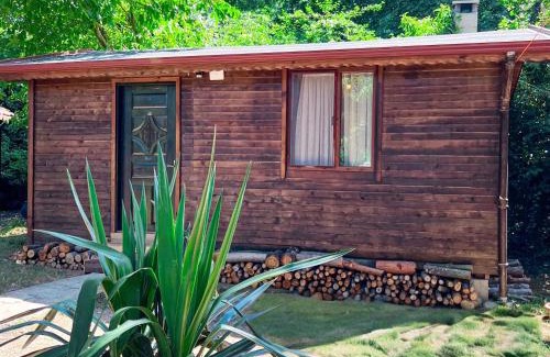 Agva Hotel | Tartaruga Boutique Hotel & Bungalows