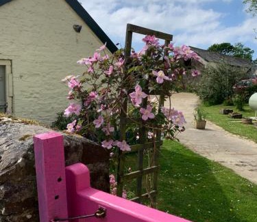 Holsworthy Cama Y Desayuno | Tatson Farmhouse B&B