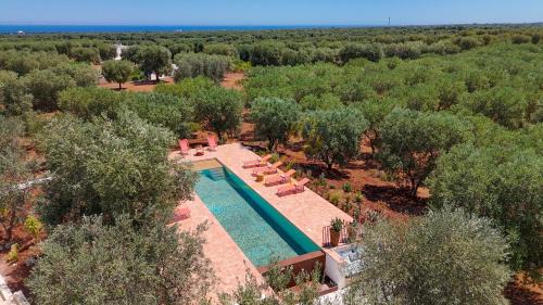 Speziale Apartamento | TD Lamia Porta Rossa, Countryside with Olive Trees