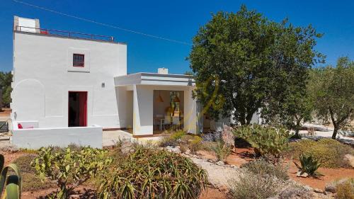 Speziale Apartamento | TD Lamia Porta Rossa, Countryside with Olive Trees