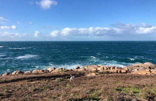 Port Elliot Casa | Tea Tree Cottage - Heart of Port Elliot