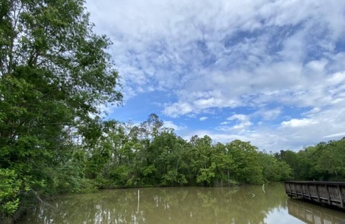 Springfield Alquiler De RV | Tentrr State Park Site - Louisiana Tickfaw State Park - Woodland E - Double Camp
