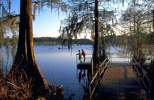 Saint Landry Alquiler De RV | Tentrr State Park Site - Louisiana Chicot State Park - Site A - Single Camp