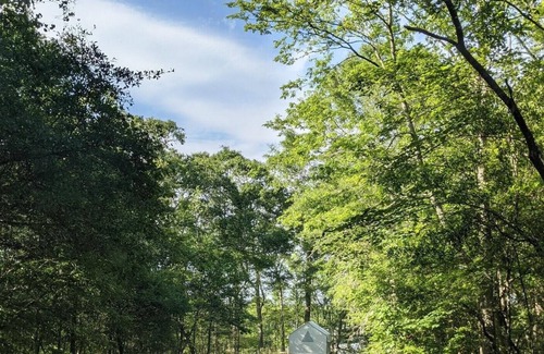 Saint Landry Alquiler De RV | Tentrr State Park Site - Louisiana Chicot State Park - Site G - Single Camp