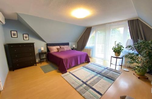 Csomor Casa | Teresa Guest House