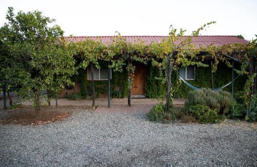 Valle de Guadalupe Cama Y Desayuno | Terra del Valle Bed & Breakfast