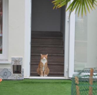 Ravenna Cama Y Desayuno | Terrazza Zalamella Bed and Breakfast