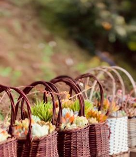 Bao Loc Cabina | THỎ NON GARDEN CLOUDY OCEAN VIEW