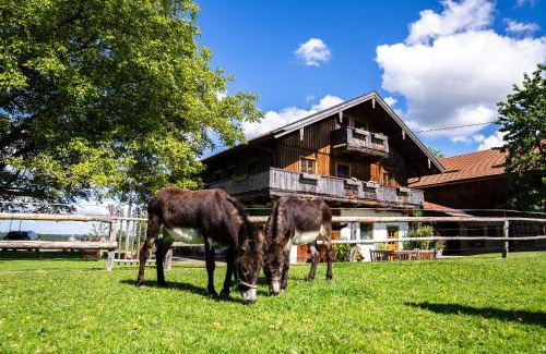 Wackersberg Apartamento | Thalerbauer Ferienwohnungen