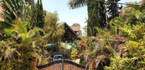 Nairobi Chalet De Esquí | The Annex at 64 : Cozy, rustic cottage/treehouse