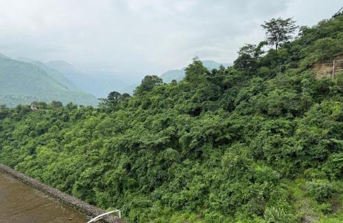 Suni Casa | The Bagain