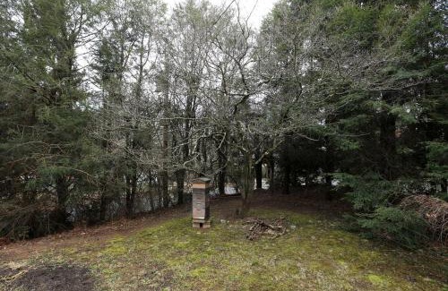 Chestnut Hills Apartamento | The Birdhouse Sweet suite! Downtown Roof top deck!