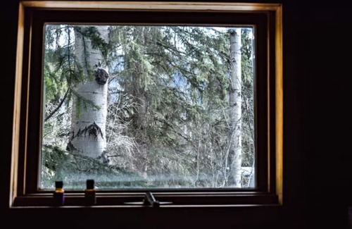 Blaeberry Casa | The Blaeberry Base Vintage Camper W/Outdoor Shower