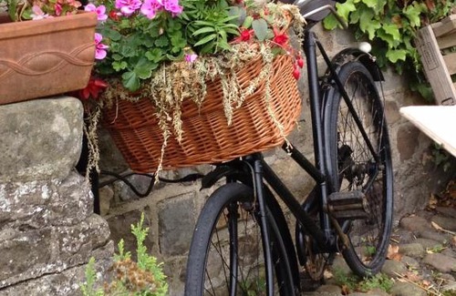 West Tanfield Hotel | The Bull Inn West Tanfield