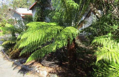 Strahan Casa | The Crays Accommodation