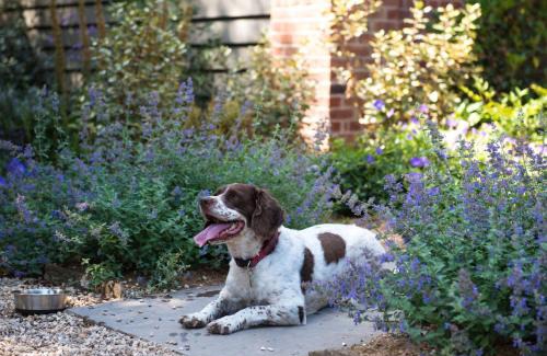 Sherborne Hotel | The Eastbury & Spa